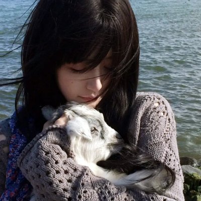 乘龙怪婿第二季